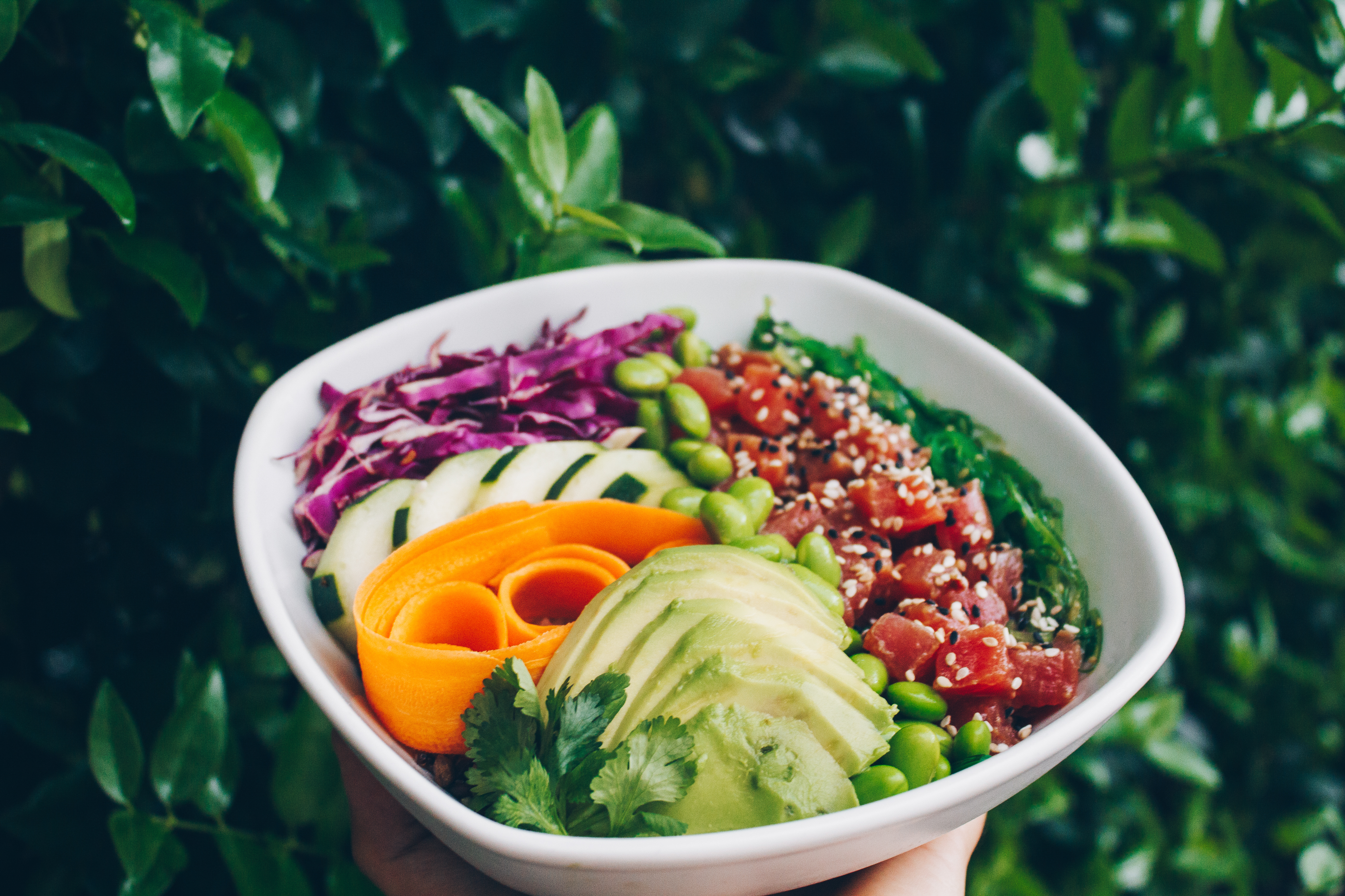 Green Lane bowl with fresh ingredients