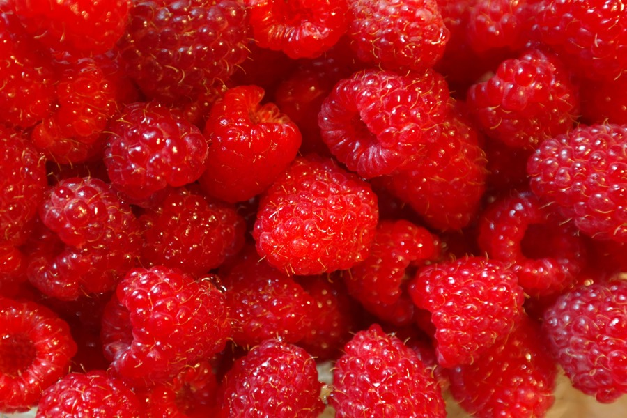 Fresh fruit image at Green Lane Co.